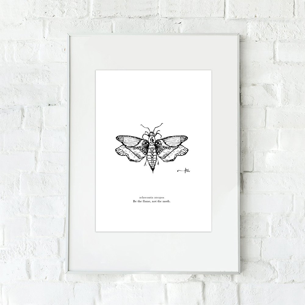 frei-moth-illustration