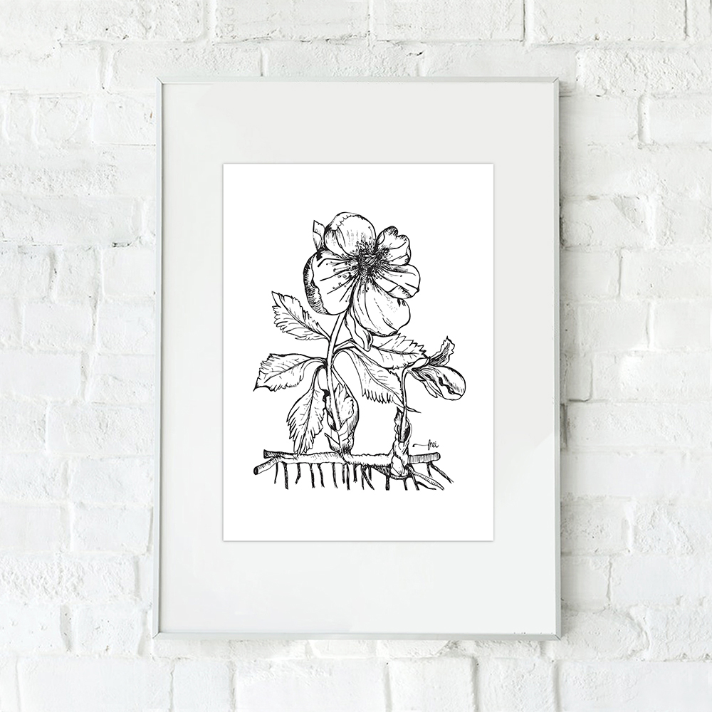 frei-rooted-flower