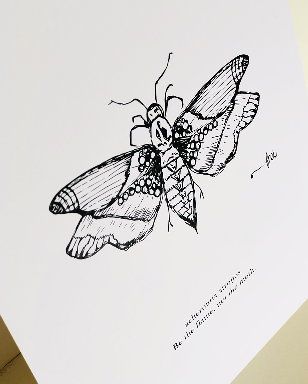 frei-moth