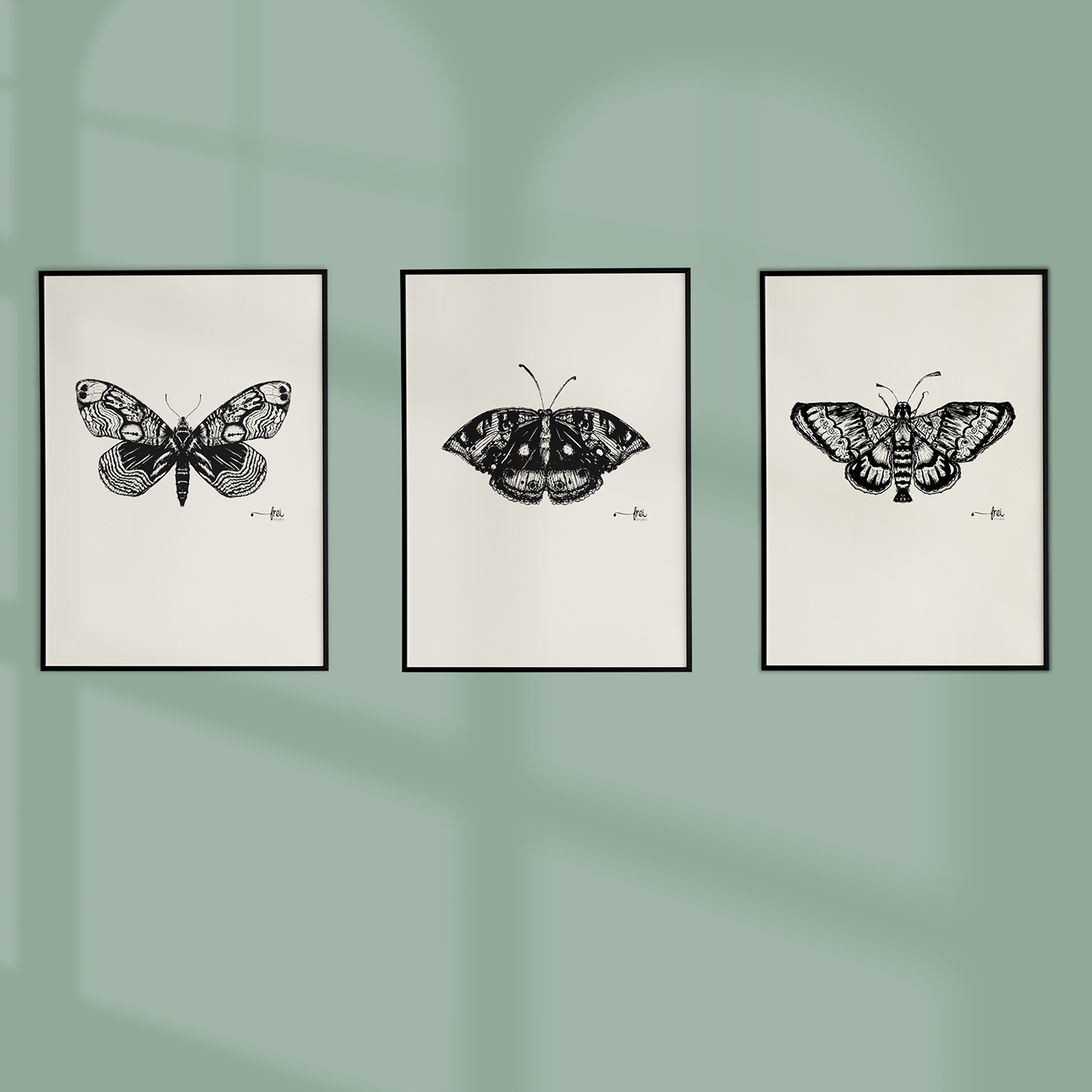 Flutter-Trio-frei-design-studio-illustration-1-3
