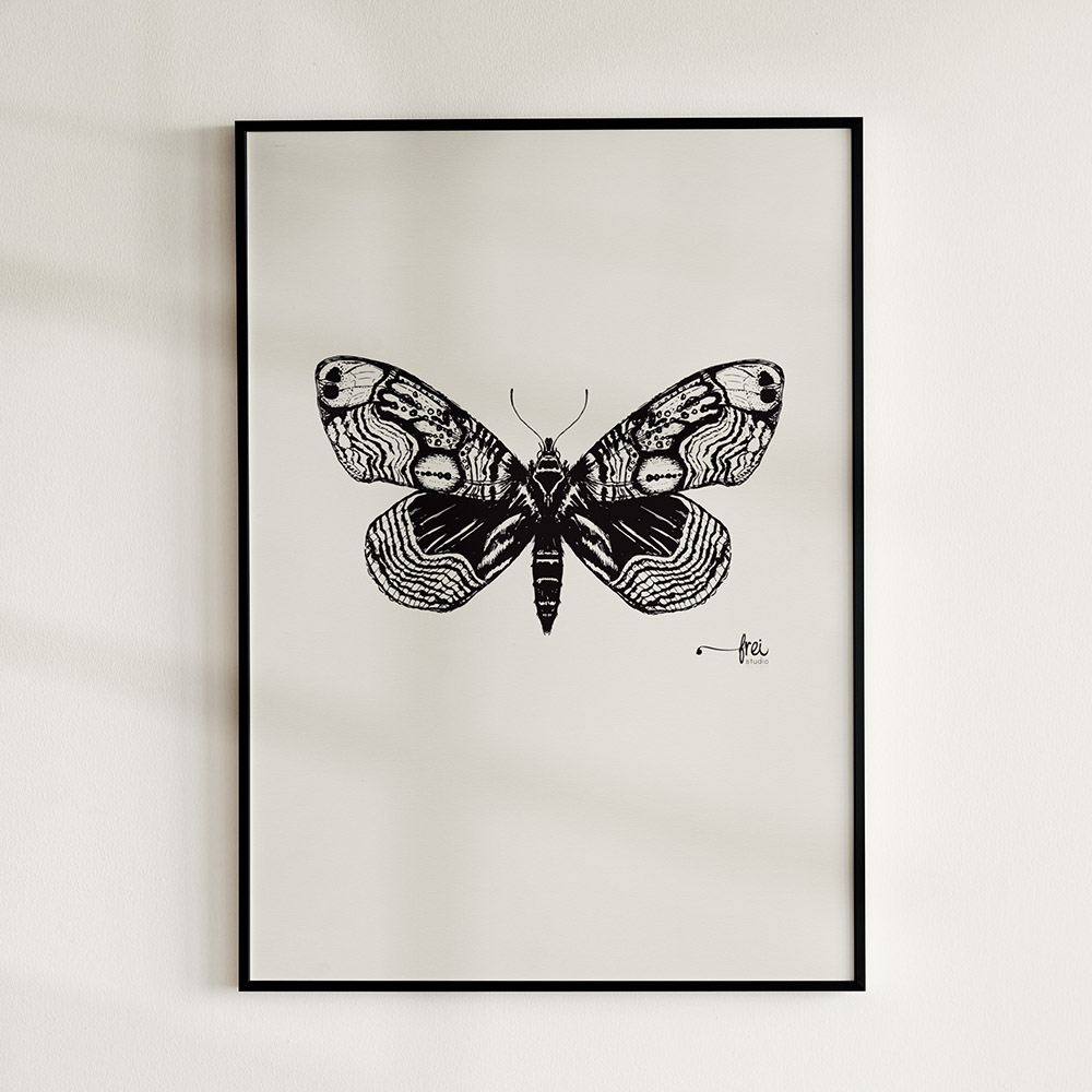 flutter-1-frei-design-studio-illustration