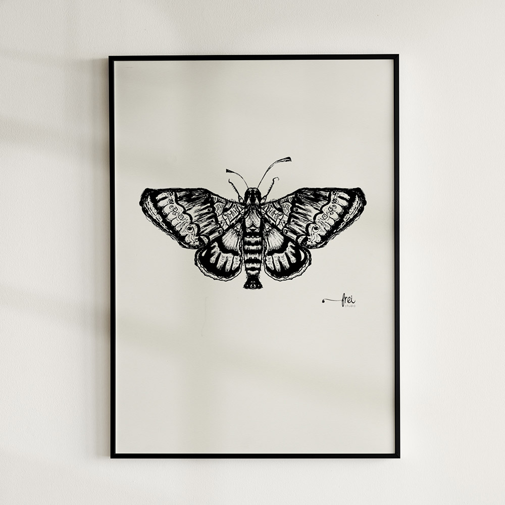 flutter-3-frei-design-studio-illustration